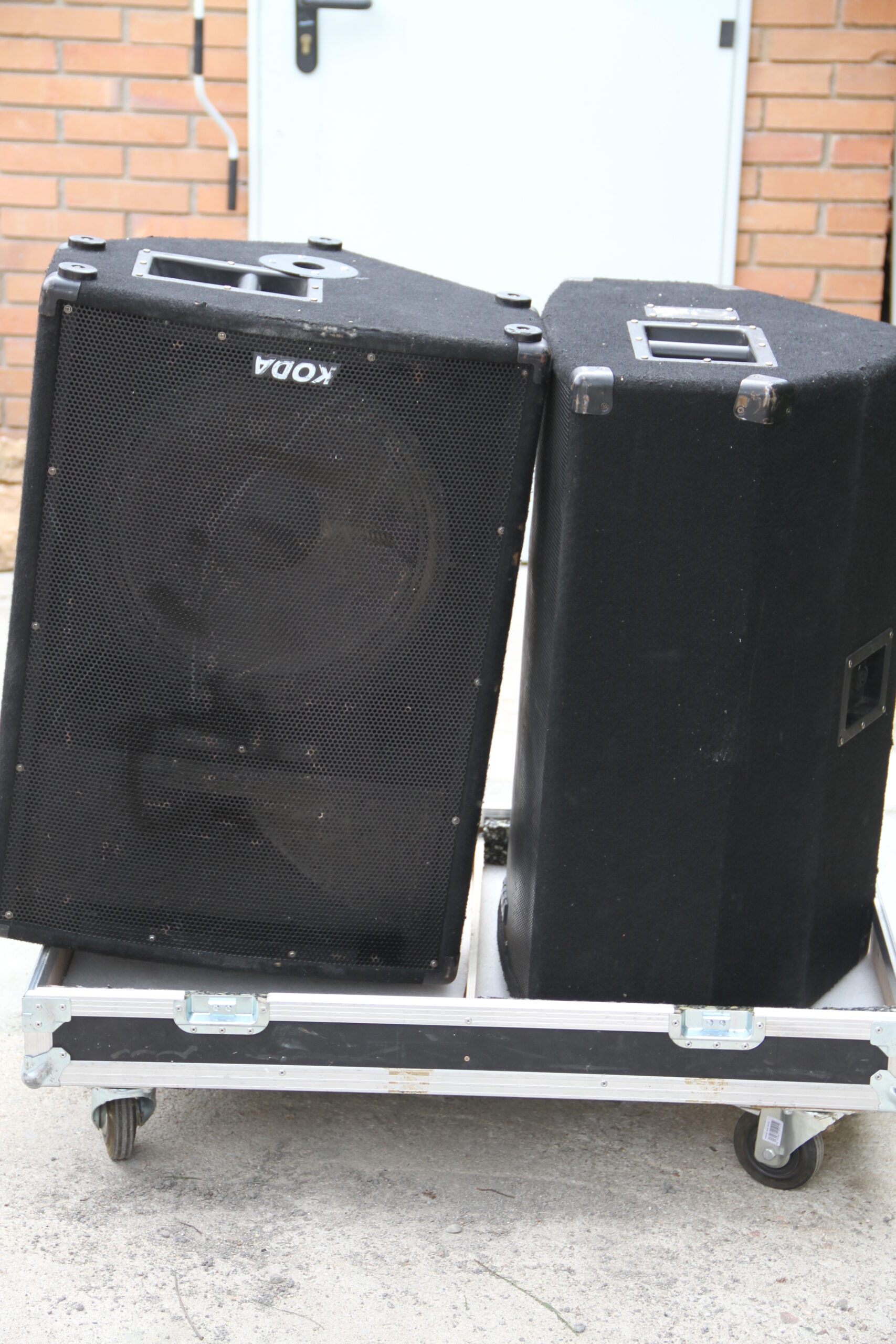 Altavoz p.a. monitor