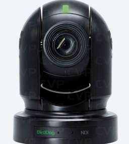 CAMARA PTZ HDMI, 3G-SDI - CVBS Y NDI®. BIRDDOG P200