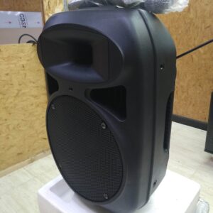 Altavoz CMX con 2 micrófonos inalámbricos y reproductor de audio